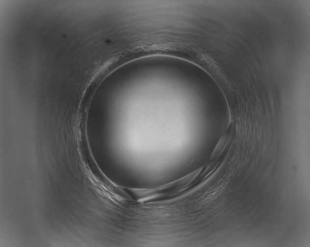 X0000054440395200507291323