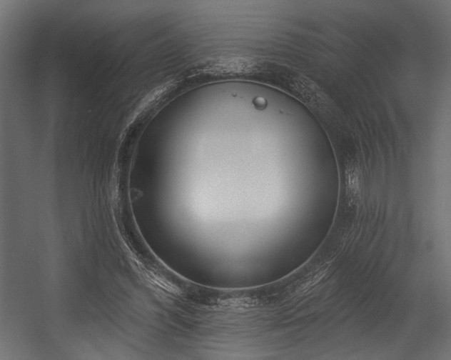 X0000054440396200507291323