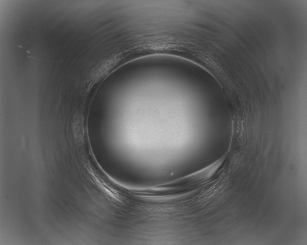 X0000054440397200507291323