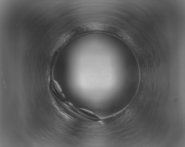 X0000054440398200507291323