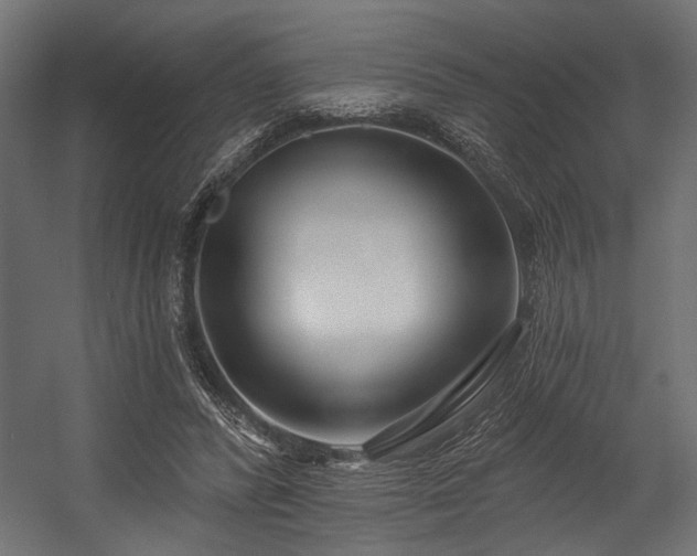 X0000054440400200507291323
