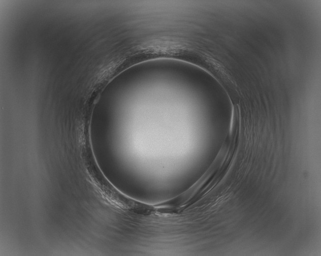 X0000054440403200507291323