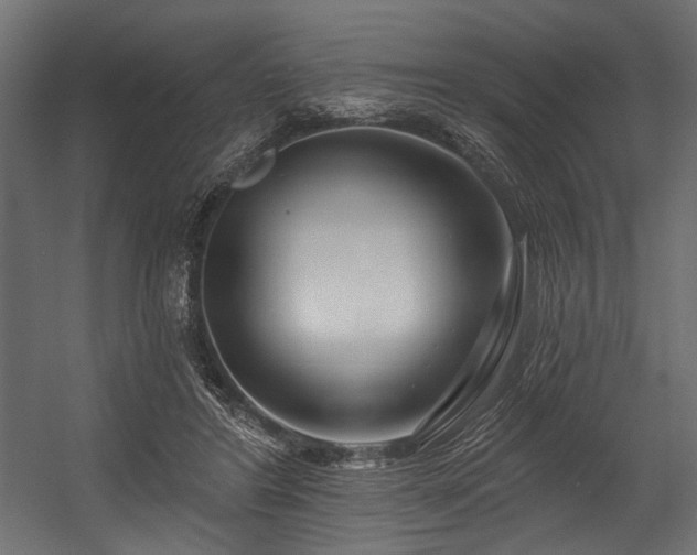 X0000054440404200507291323