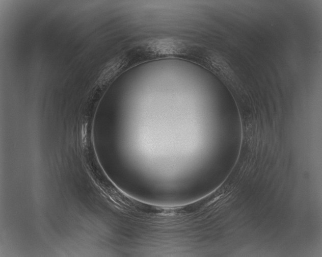 X0000054440406200507291323