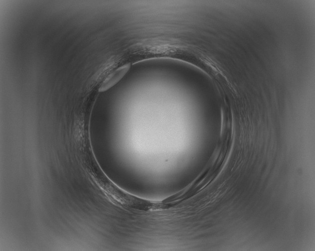 X0000054440407200507291323