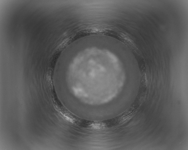 X0000054440415200507291323