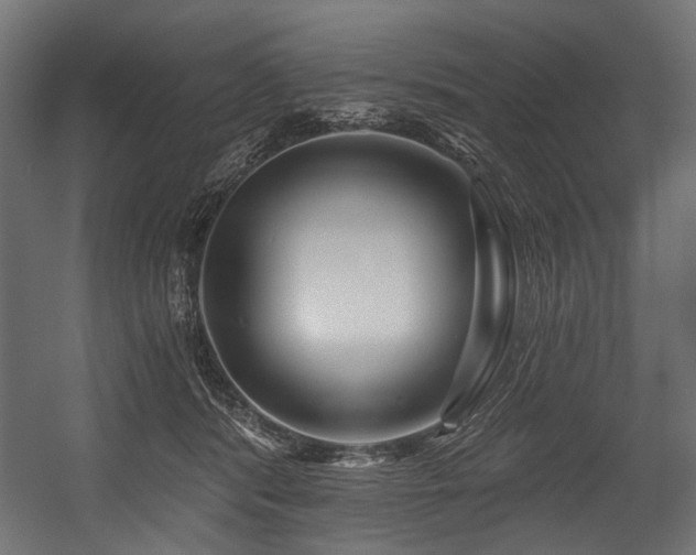 X0000054440416200507291323