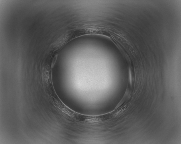 X0000054440417200507291323