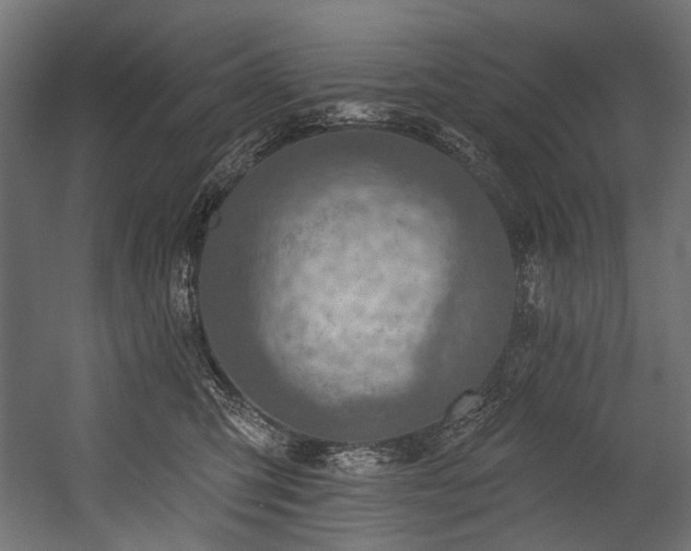 X0000054440423200507291323