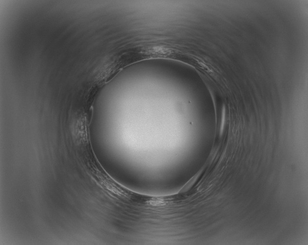 X0000054440425200507291323