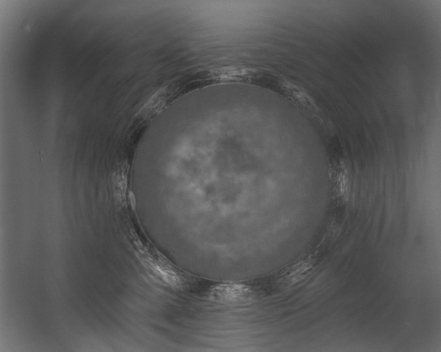 X0000054440427200507291322