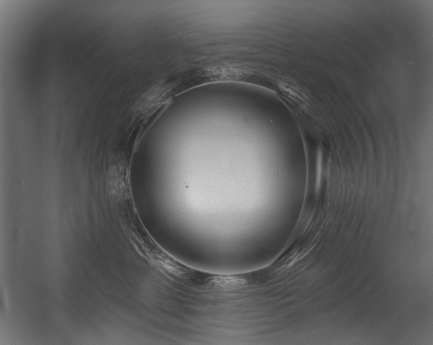 X0000054440429200507291322