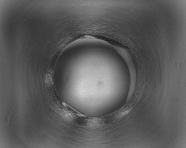 X0000054440432200507291322