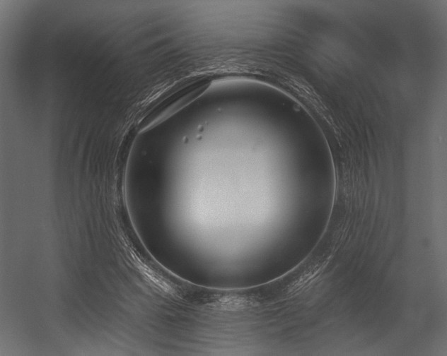 X0000054440441200507291322