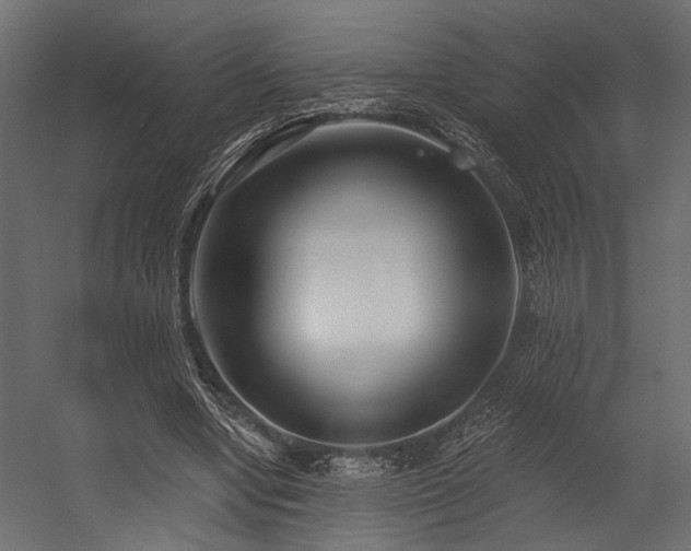 X0000054440442200507291322