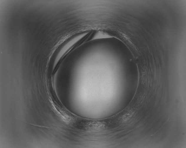 X0000054440443200507291322