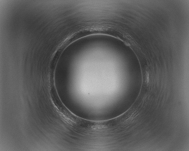 X0000054440444200507291322