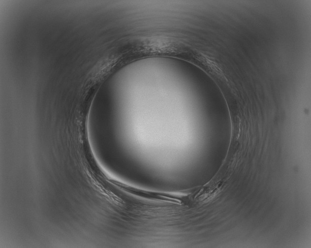 X0000054440450200507291322