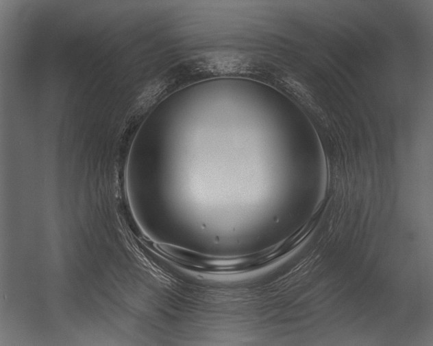 X0000054440453200507291322