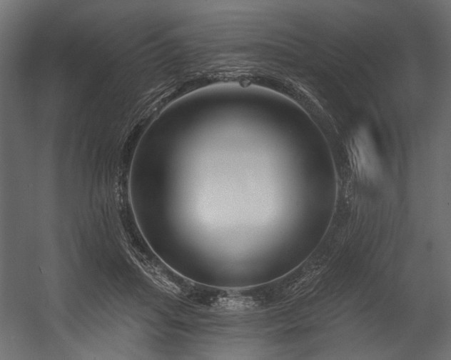 X0000054440455200507291322