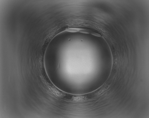 X0000054440461200507291322