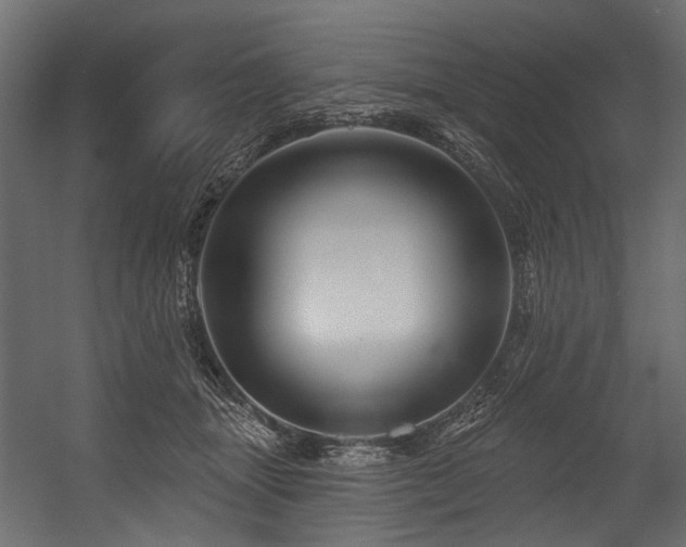X0000054440463200507291322