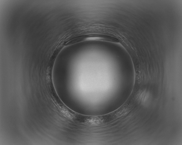 X0000054440466200507291322