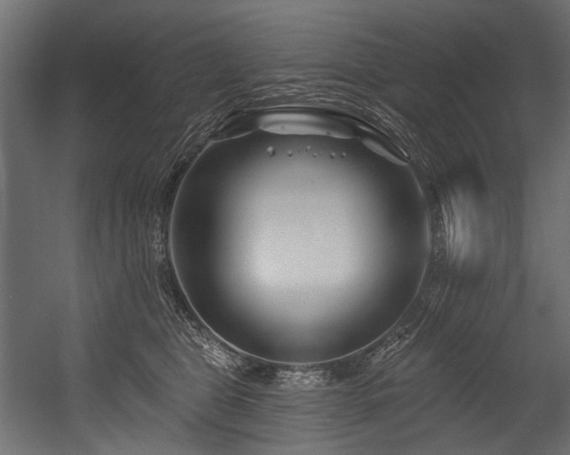 X0000054440469200507291322