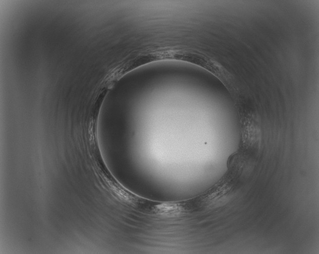X0000054440477200507291322