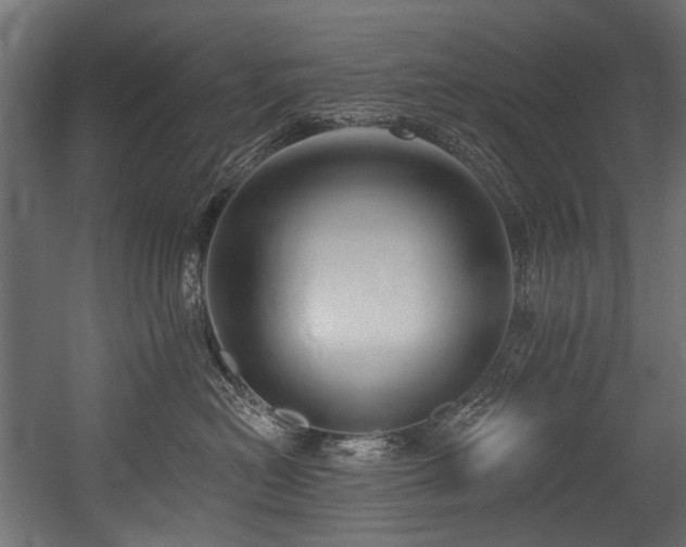 X0000054440478200507291322