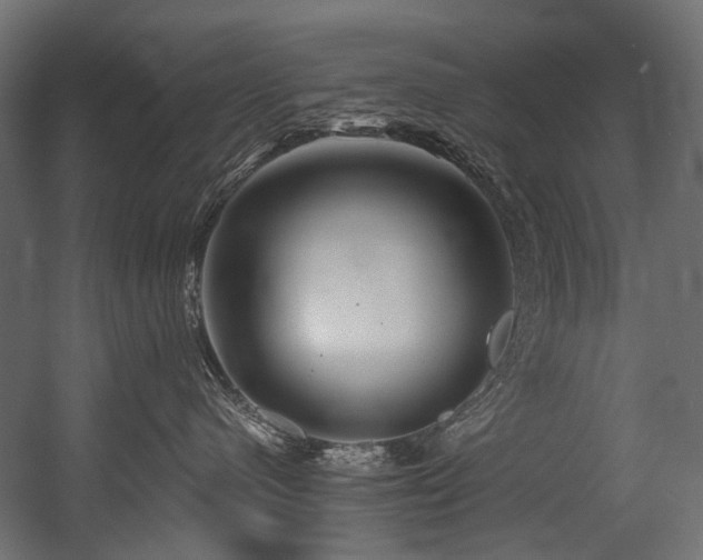 X0000054440480200507291322