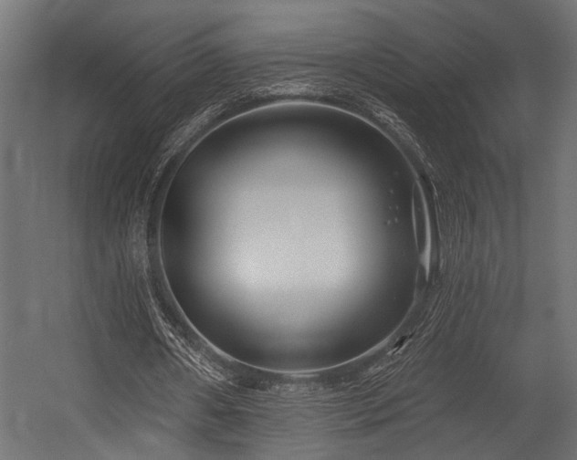 X0000054440482200507291322