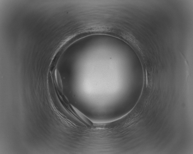 X0000054440483200507291322