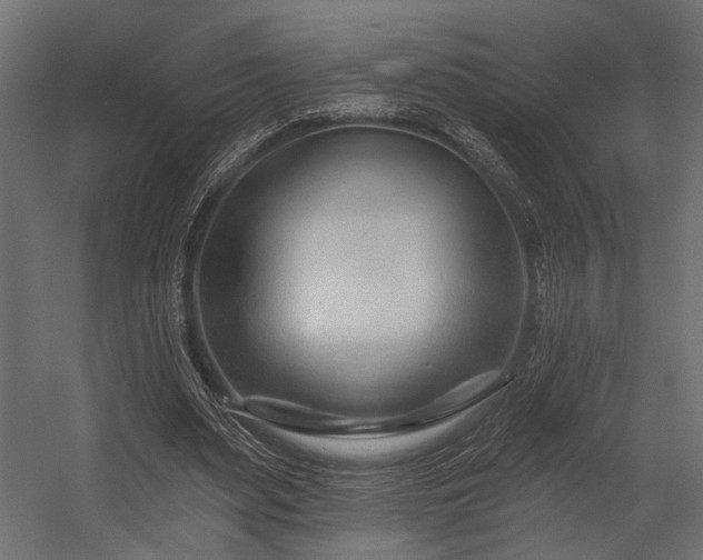 X0000054440487200507291321