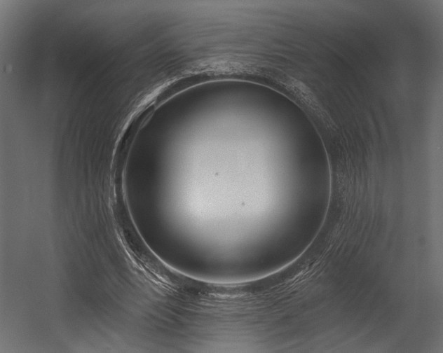 X0000054440488200507291321
