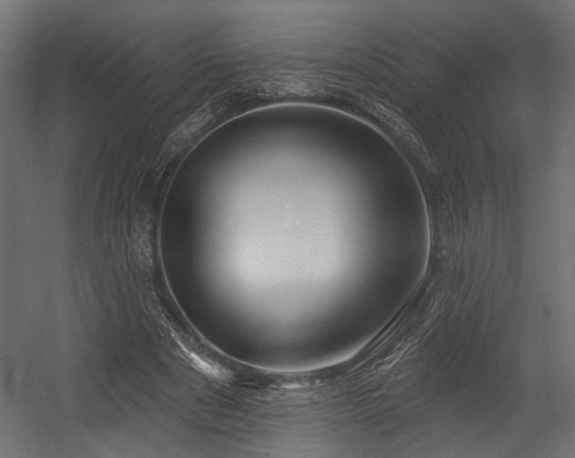 X0000054440489200507291321