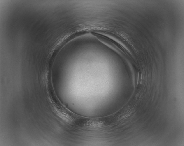 X0000054440491200507291321