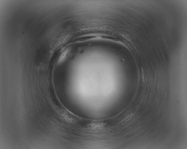 X0000054440495200507291321