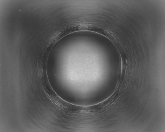 X0000054440496200507291321