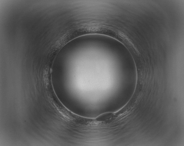 X0000054440497200507291321