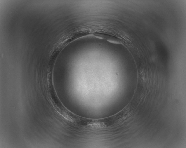 X0000054440499200507291321