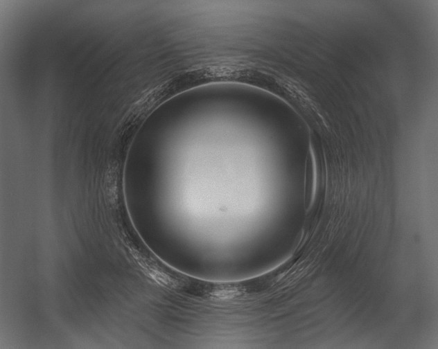 X0000054440505200507291321