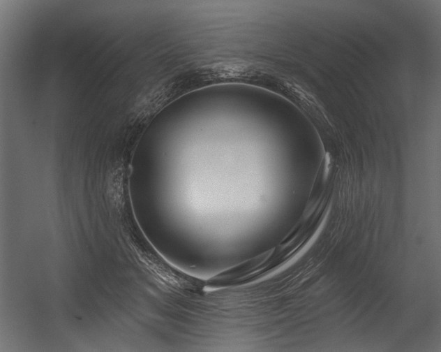 X0000054440509200507291321