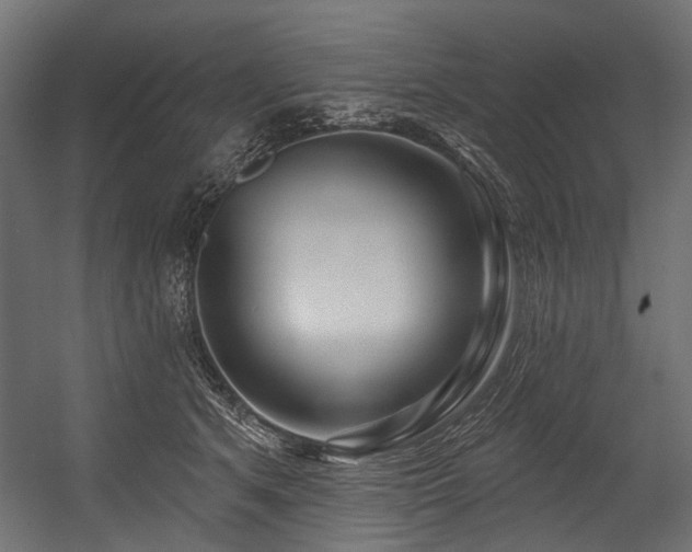 X0000054440513200507291321