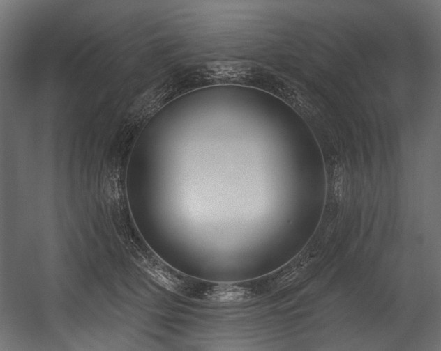 X0000054440514200507291321