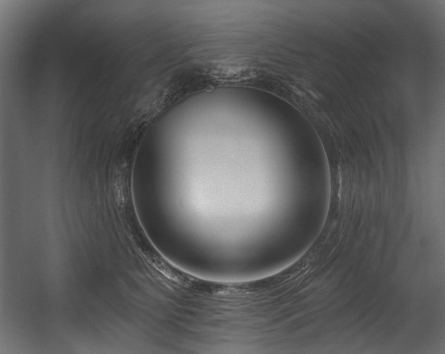 X0000054440515200507291321