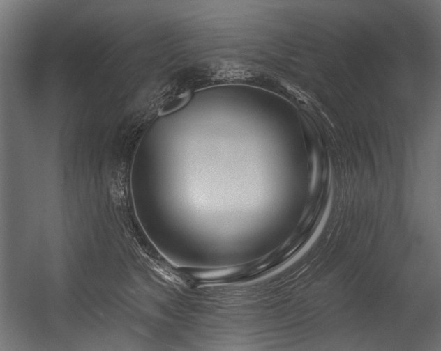 X0000054440517200507291321