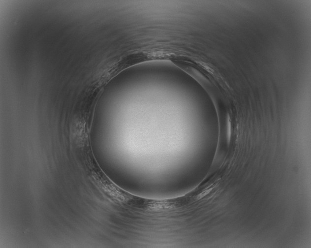 X0000054440521200507291321