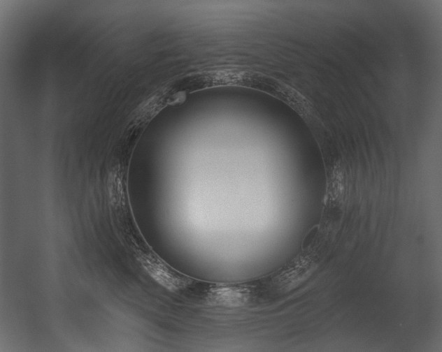 X0000054440522200507291321