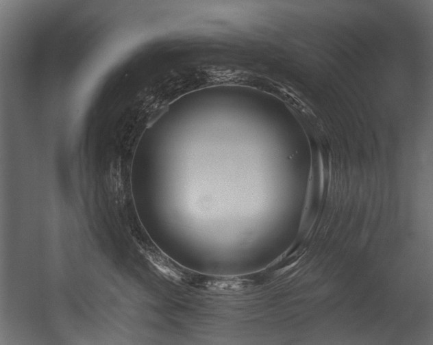 X0000054440524200507291321